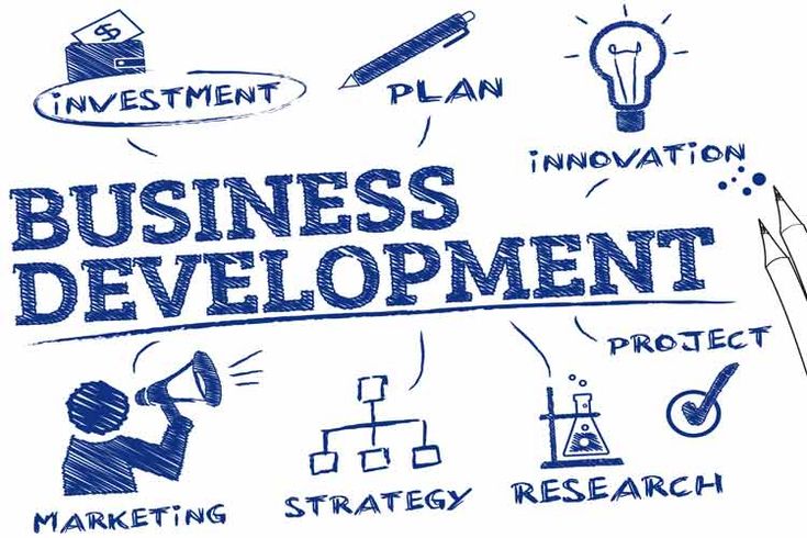 Langkah Awal Membangun Sistem Bisnis yang Rapi dan Skalabel