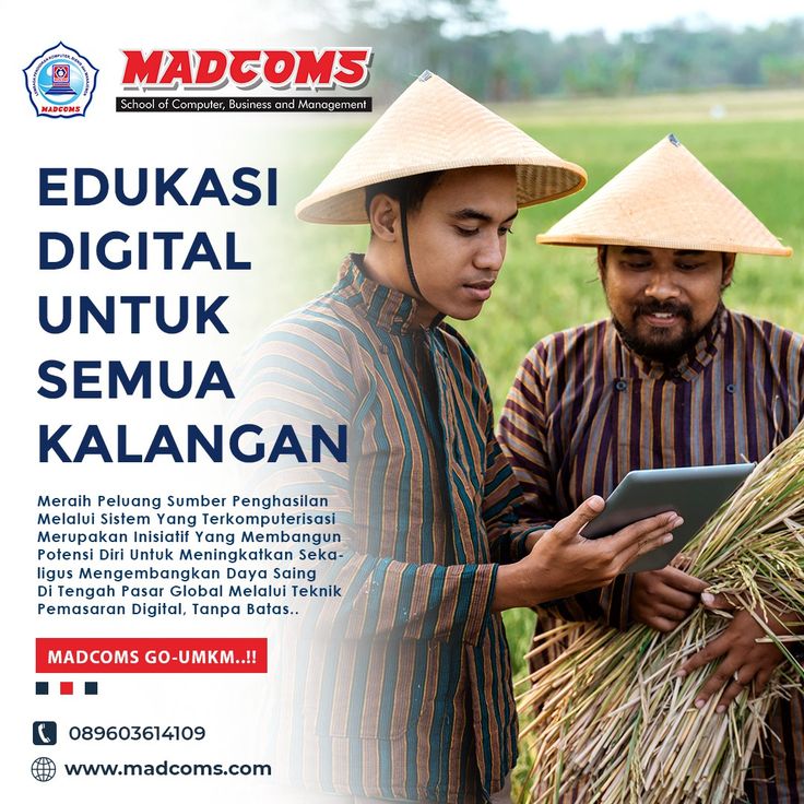 Transformasi Digital UMKM: Dari Usaha Tradisional ke Pasar Online